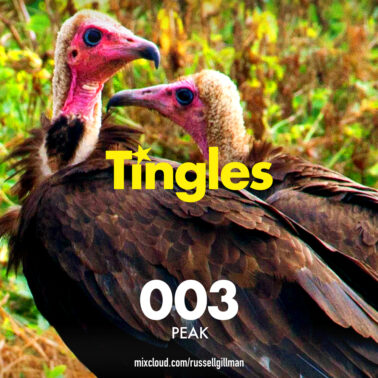 Mixcloud - Tingles 0035